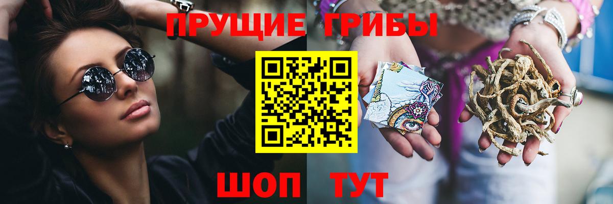 Псилоцибиновые грибы MAGIC MUSHROOMS  Вход с VPN  Сергиев Посад 